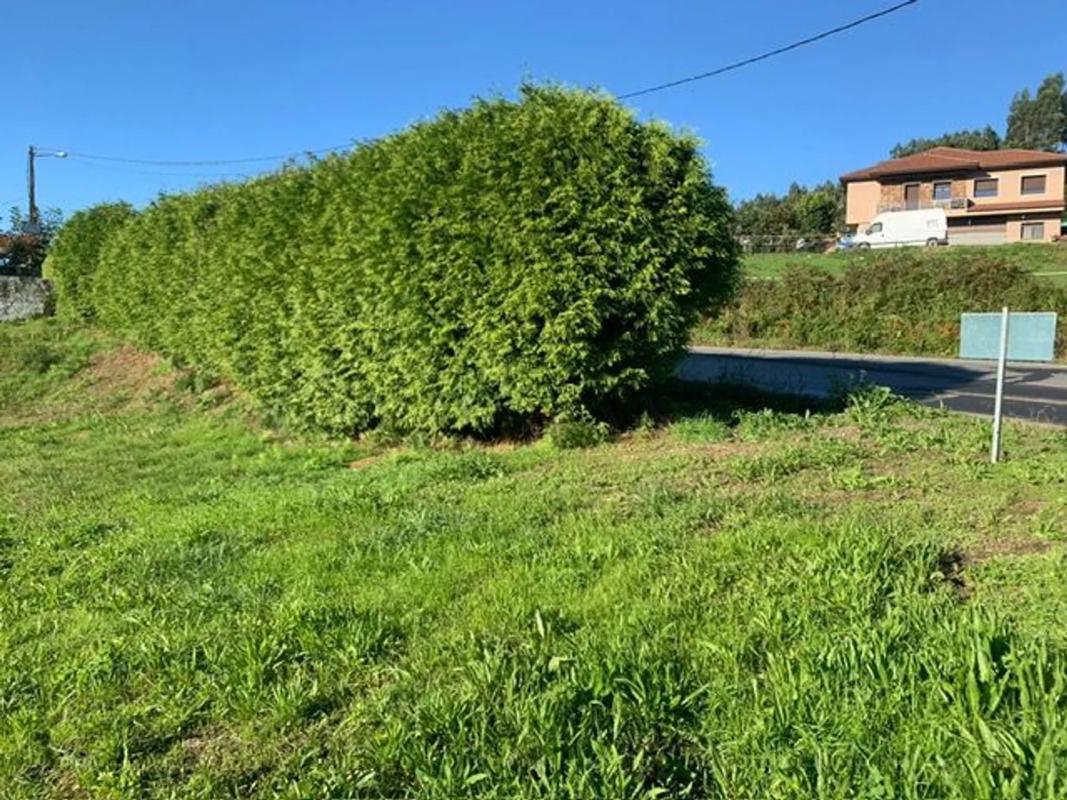 Działka na sprzedaż w Karral, A Coruña photo 2