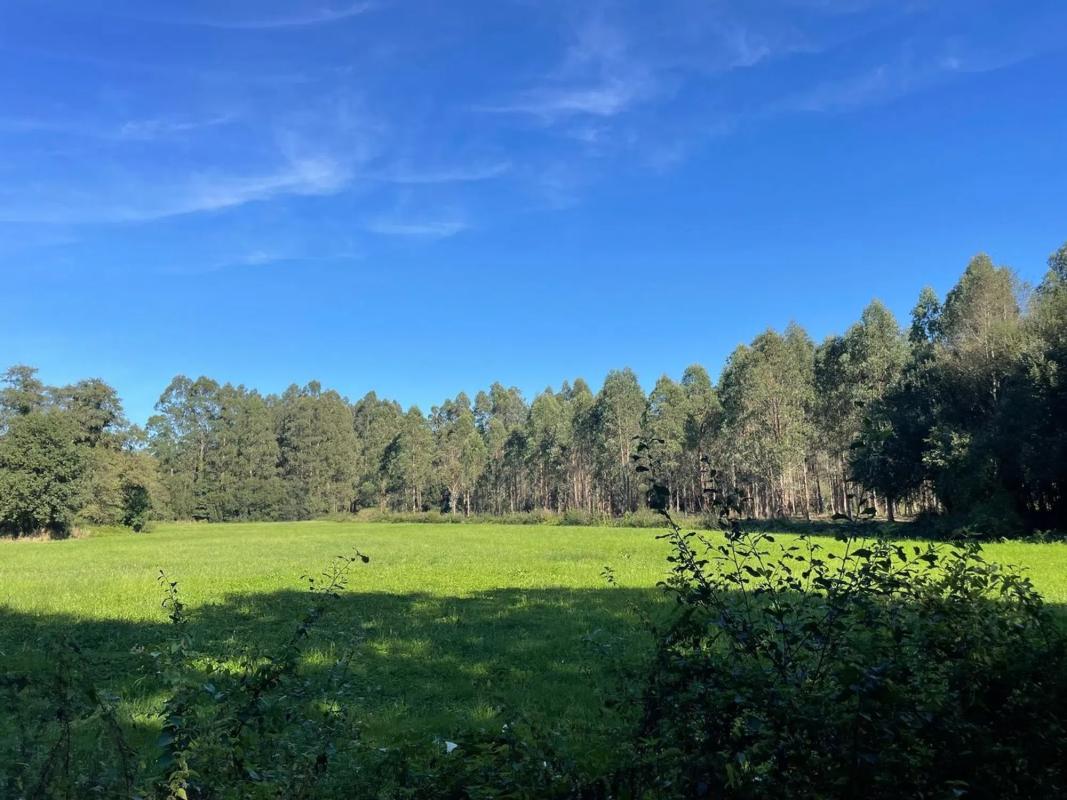 Land for sale in Abegondo, A Coruña photo 1