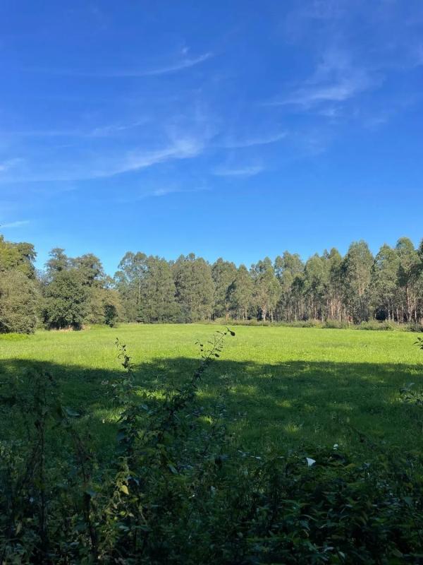 Land for sale in Abegondo, A Coruña photo 2