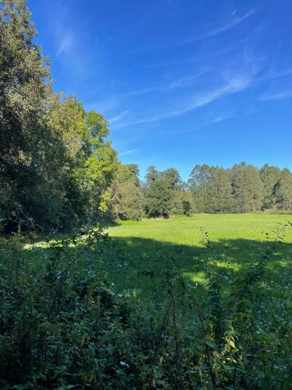 Land for sale in Abegondo, A Coruña photo 3