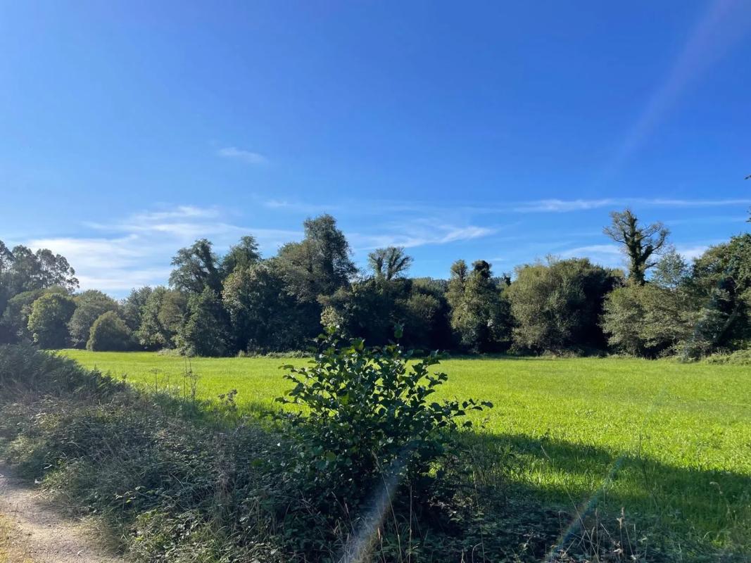 Land for sale in Abegondo, A Coruña photo 4
