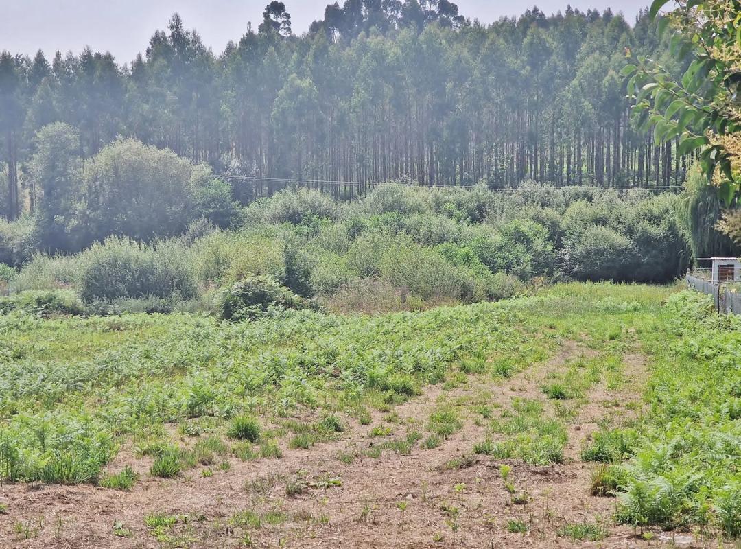 Terreno en venta en Sada, A Coruña photo 4