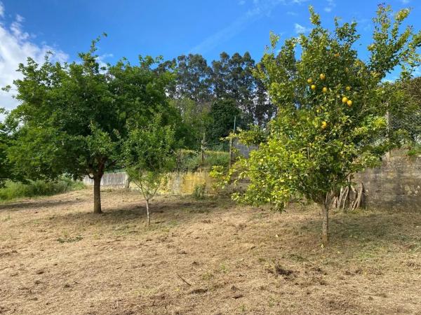 Terreno en Cp-7508 photo 1
