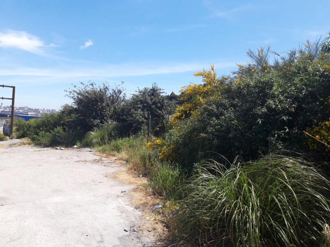 Terreno en venta en A Coruña, A Coruña photo 2