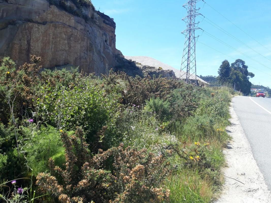 Terreno en venta en A Coruña, A Coruña photo 5