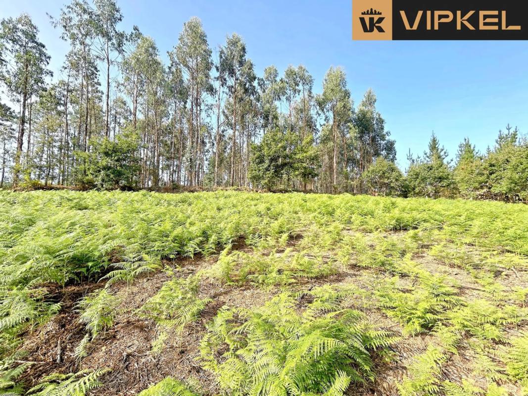Terreno en venta en Cambre, A Coruña photo 2