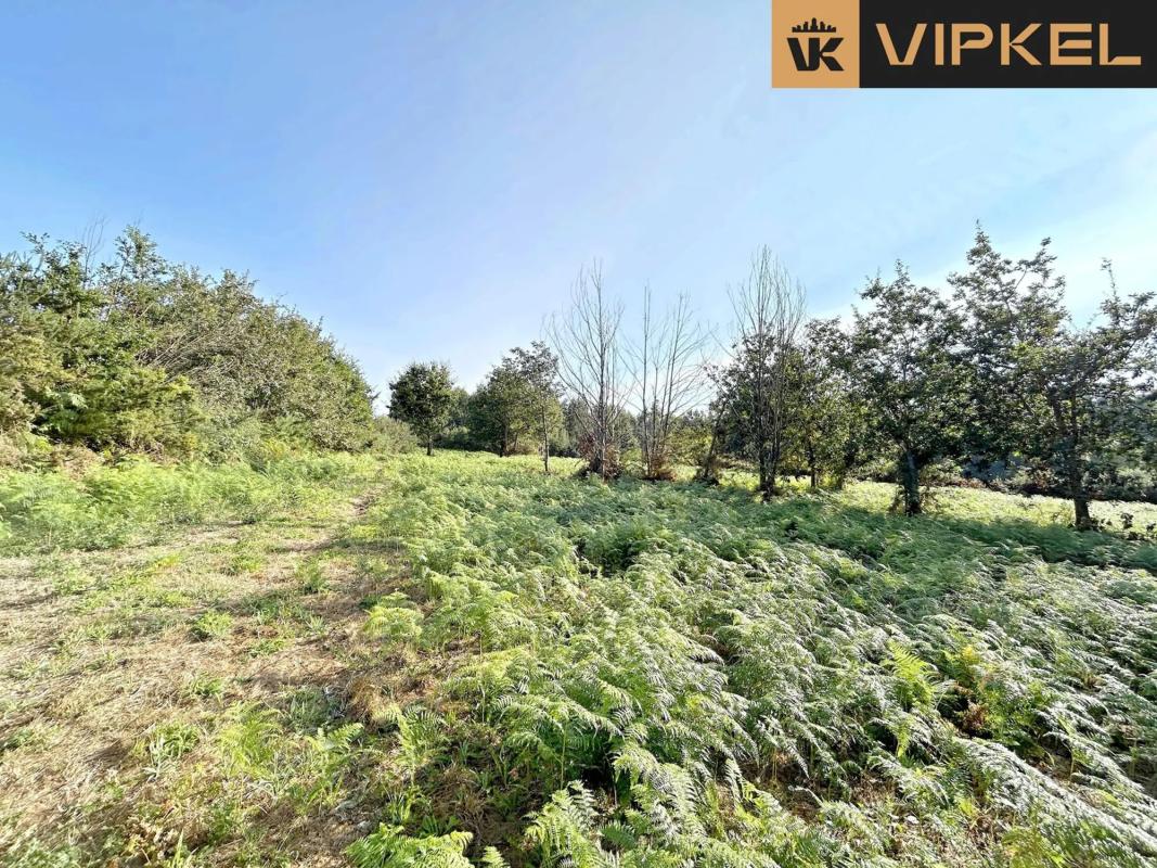 Land for sale in Cambre, A Coruña photo 3