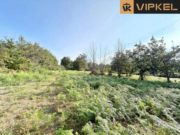 Terreno en Lugar Aldea photo 3