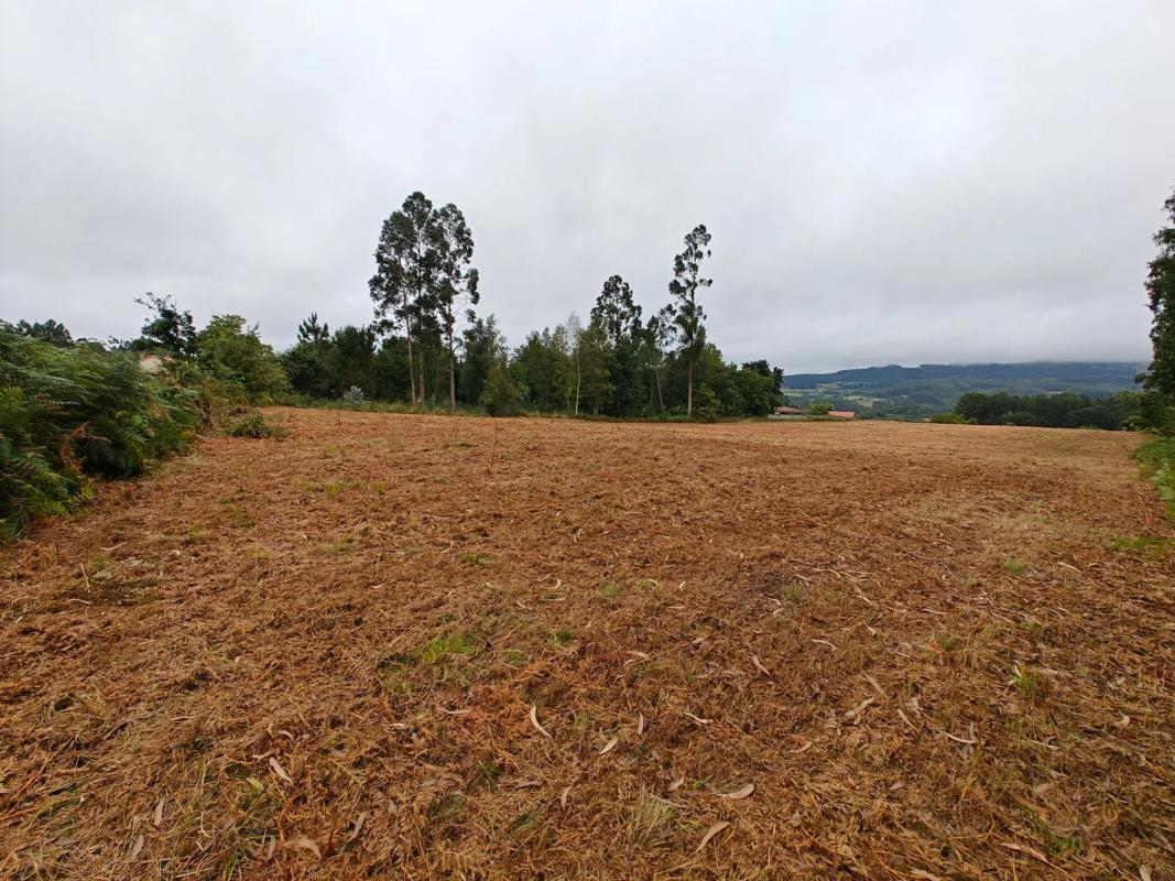 Terreno en venta en Abegondo, A Coruña photo 4