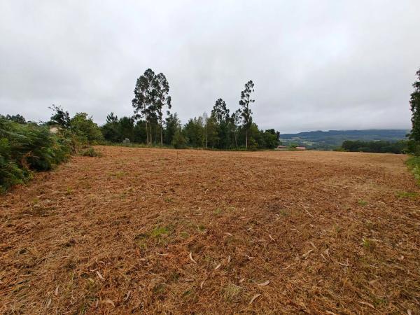 Terreno en Lugar Francos photo 4