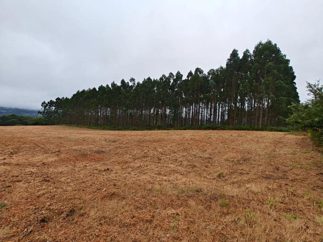 Terreno en venta en Abegondo, A Coruña photo 5