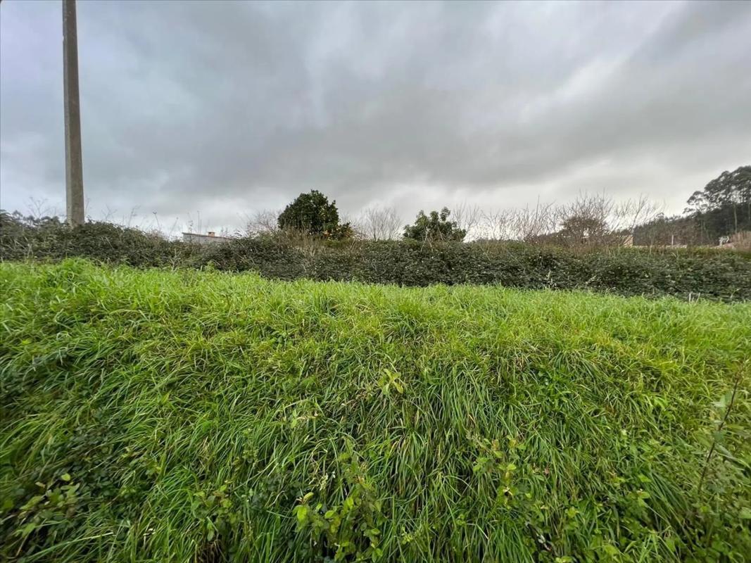 Terreno en venta en Oleiros, A Coruña photo 5