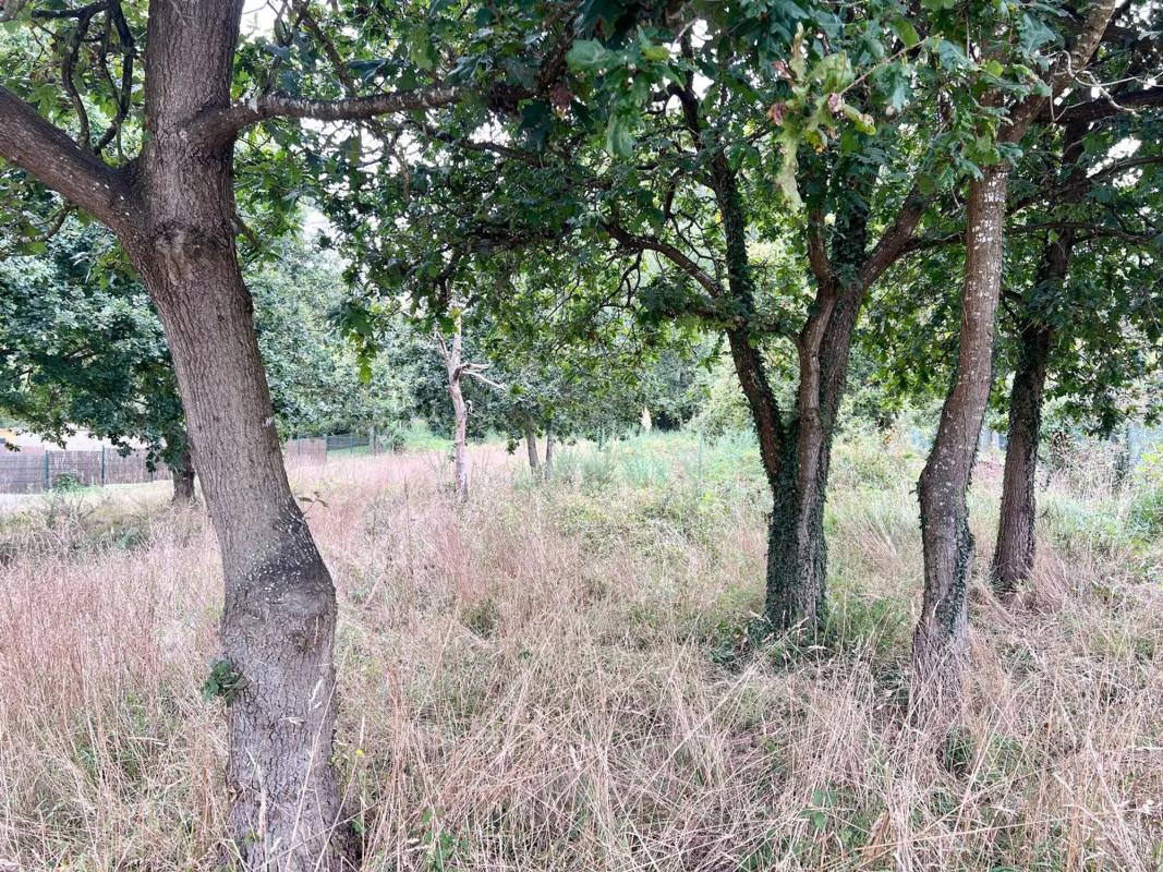 Terreno en venta en Oleiros, A Coruña photo 1