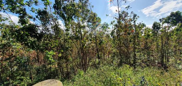 Terreno en Lindante con Parque Forestal de Monticaño. s/n sn photo 2
