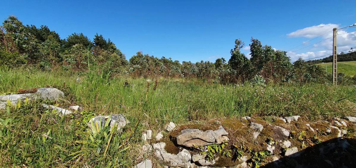 Terreno en venta en Arteixo, A Coruña photo 4
