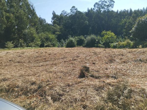 Terreno en Azoreira s/n photo 2