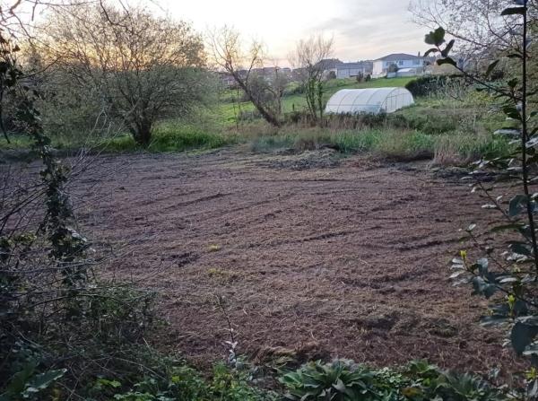 Terreno en calle do Pardal s/n photo 4