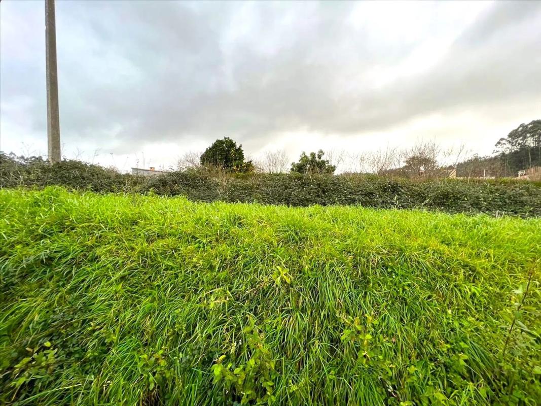 Land for sale in Oleiros, A Coruña photo 2