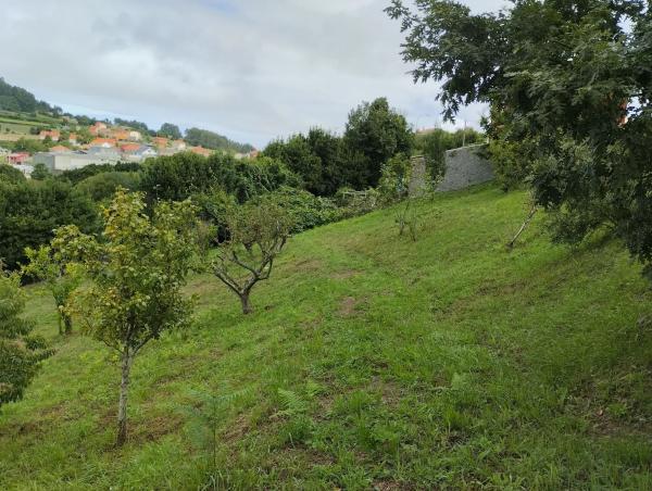 Terreno en carretera general,km 15 s/n CgeneralCCarballoLaasArteixo photo 3