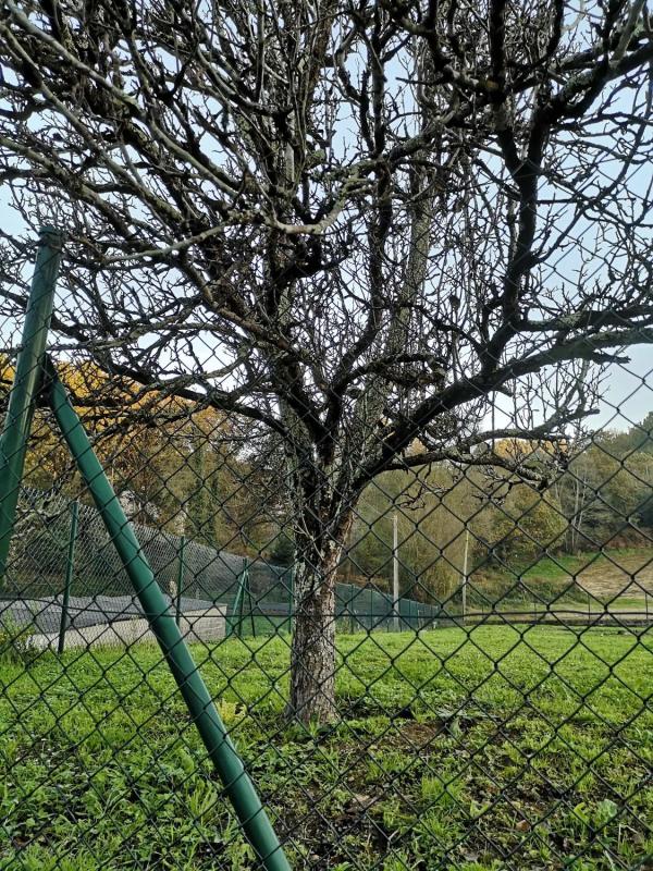 Działka na sprzedaż w Kąbrów, A Coruña photo 5