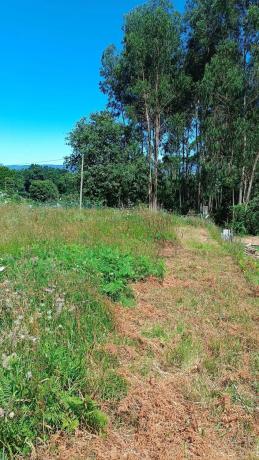 Terreno en Aldea Cimas, 4 photo 4