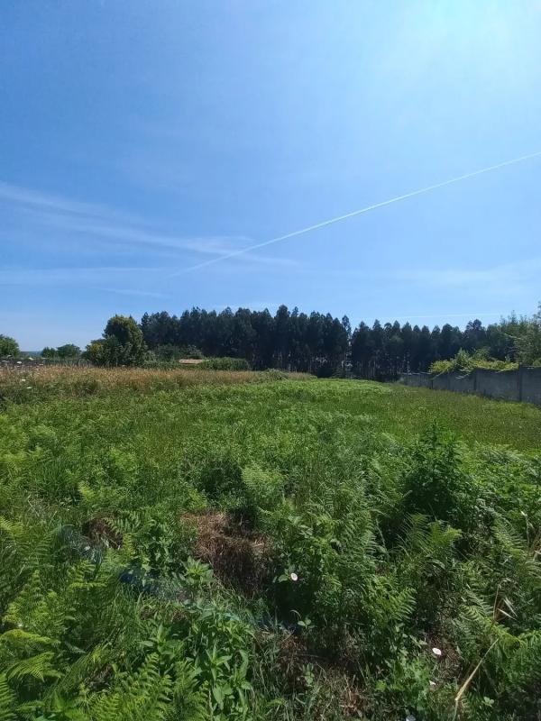 Land for sale in Bergondo, A Coruña photo 3