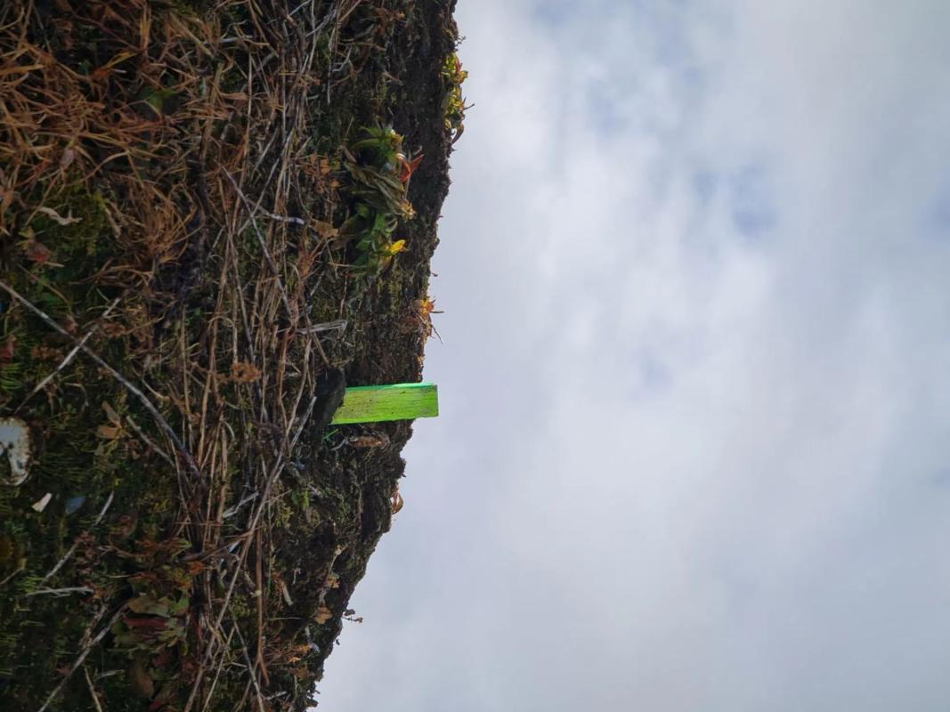 Terreno en venta en Oleiros, A Coruña photo 2