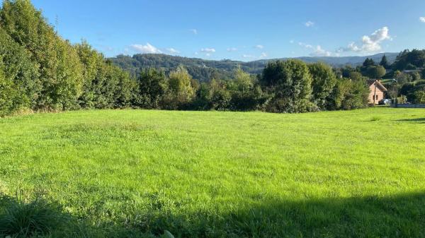 Terreno en Carral photo 3