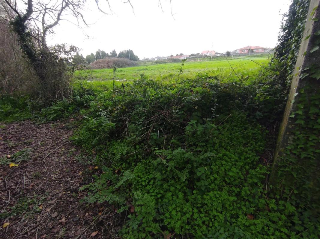 Terreno en venta en Oleiros, A Coruña photo 2