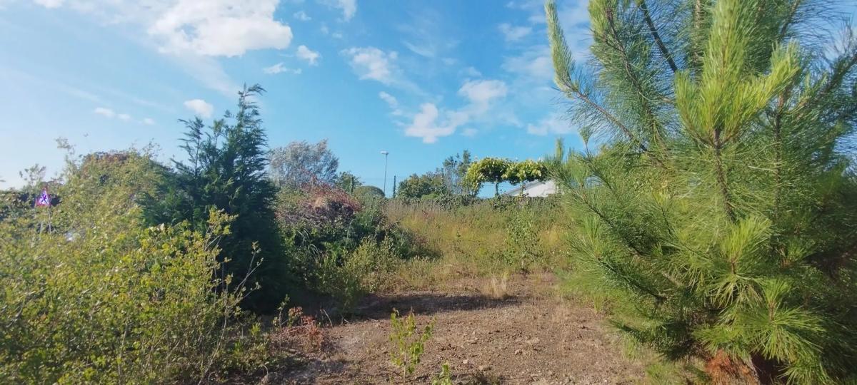 Terreno en venta en Oleiros, A Coruña photo 2