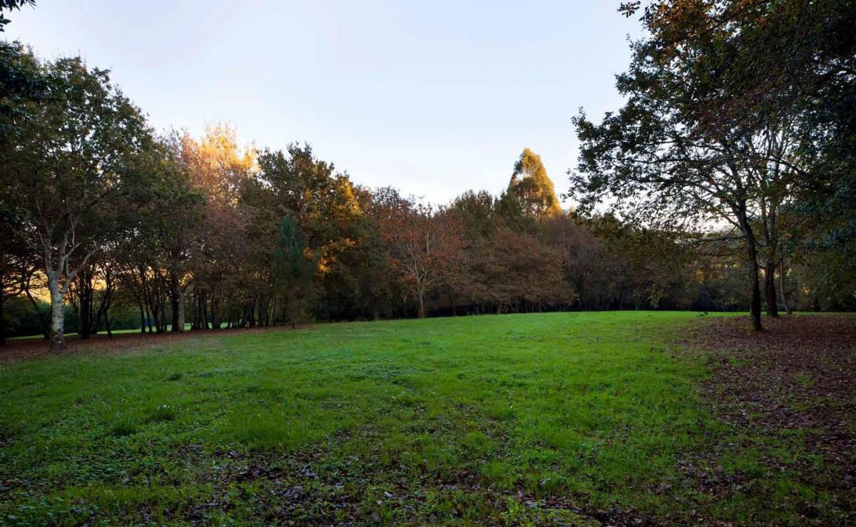 Land for sale in Abegondo, A Coruña photo 1