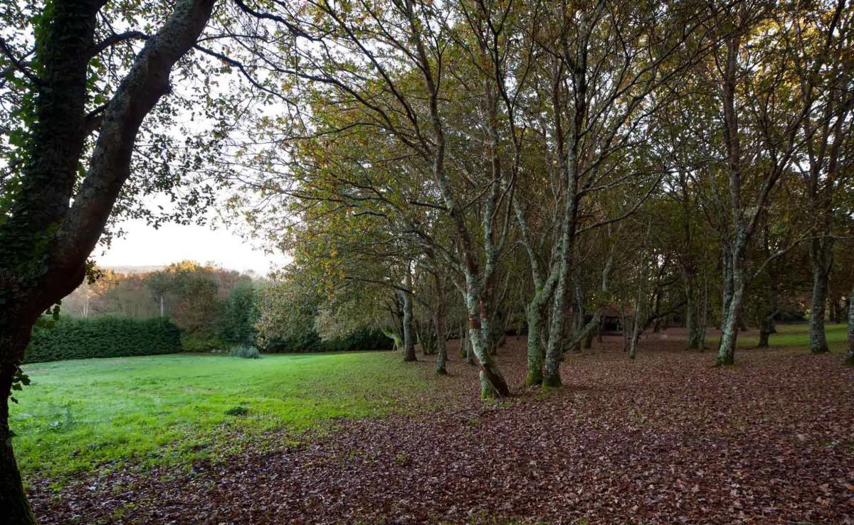 Land for sale in Abegondo, A Coruña photo 3