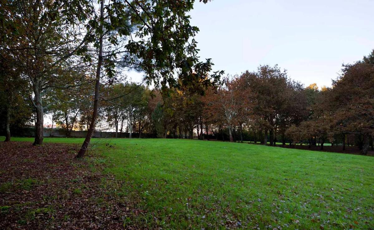 Land for sale in Abegondo, A Coruña photo 4