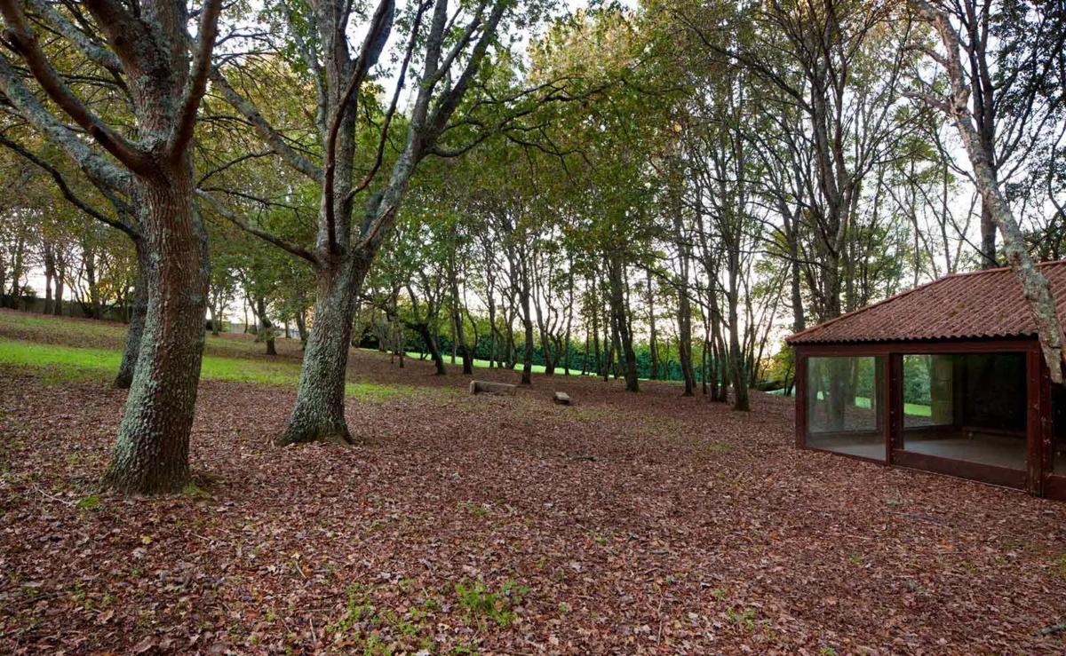 Land for sale in Abegondo, A Coruña photo 5