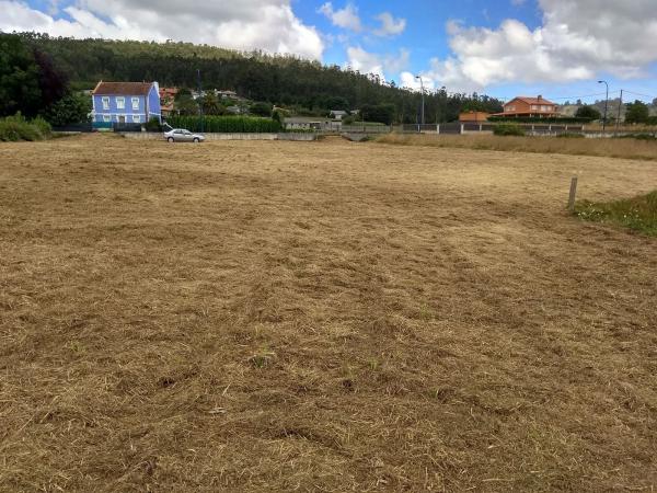 Terreno en Ledoño, 50 PolgonoParcelaCAMPO photo 2