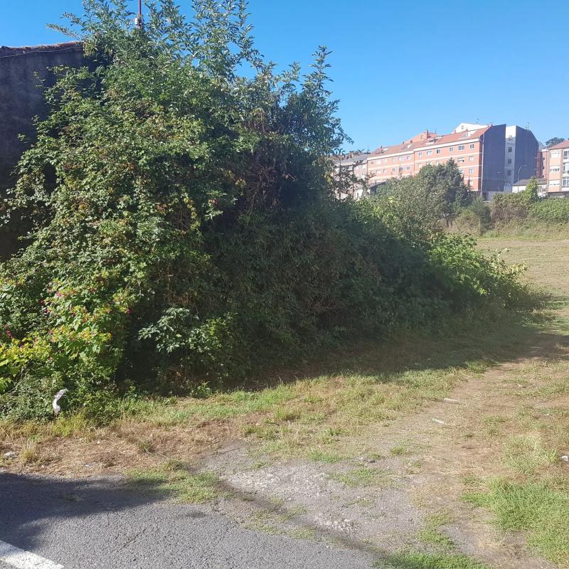 Terreno en venta en Culleredo, A Coruña photo 3