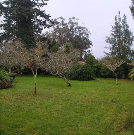 Terreno en avenida Ramón Núñez Montero, 55 thumbnail 1
