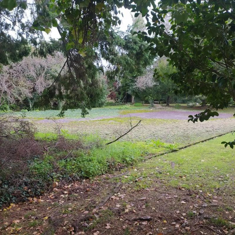 Terreno en venta en Oleiros, A Coruña photo 5