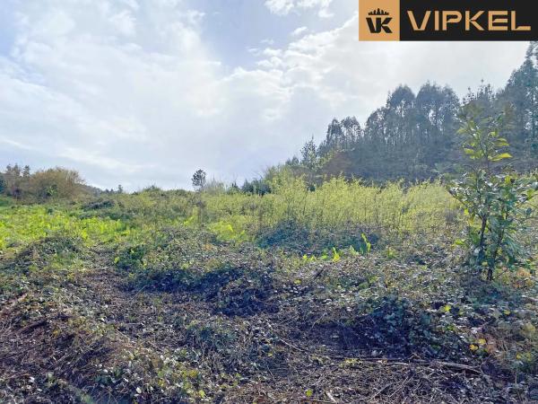 Terreno en Leiro photo 1