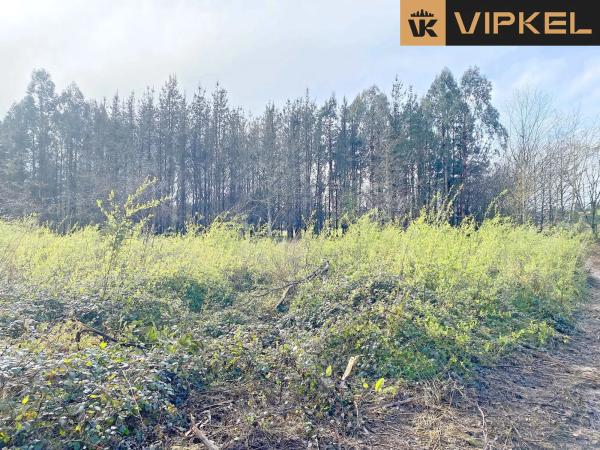 Terreno en Leiro photo 2