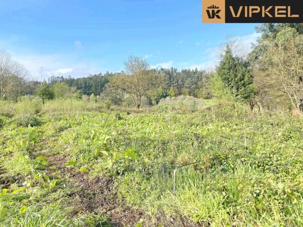 Terreno en Leiro photo 4