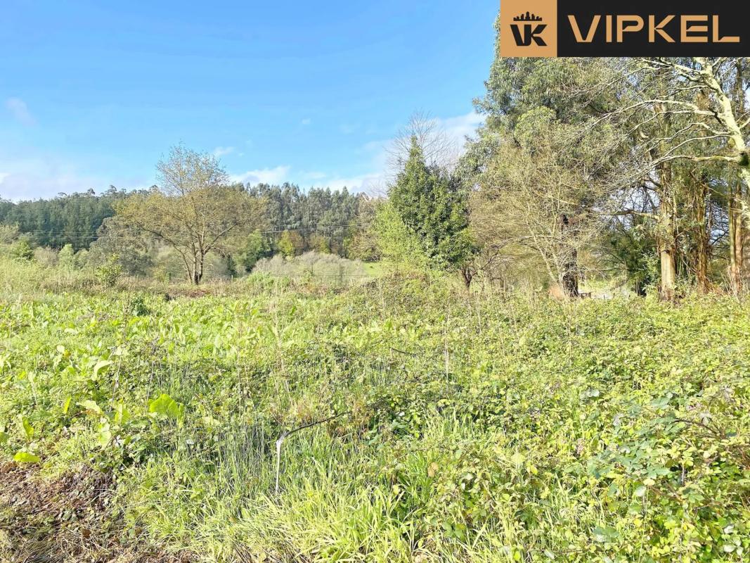 Terreno en venta en Abegondo, A Coruña photo 5