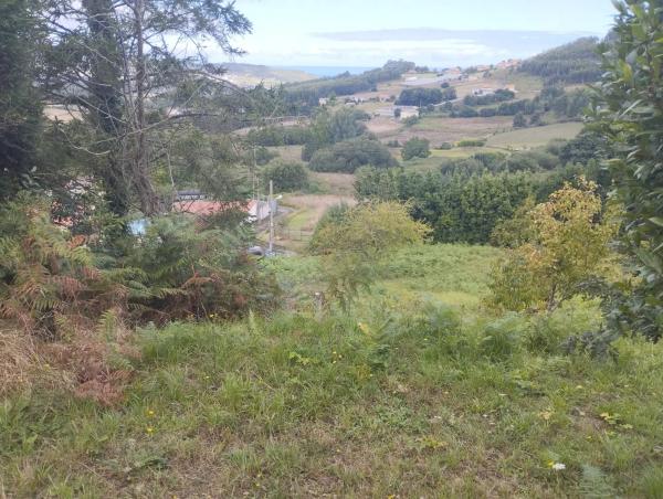 Terreno en camino Lugar photo 1