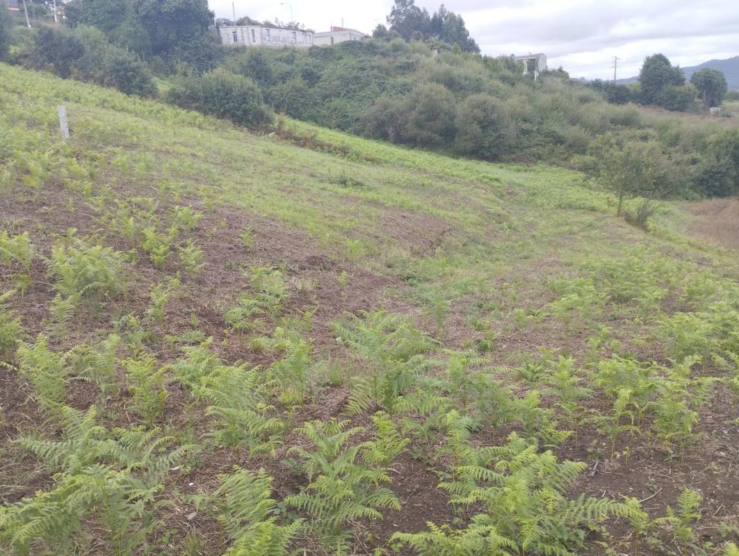 Terreno en venta en Arteixo, A Coruña photo 2
