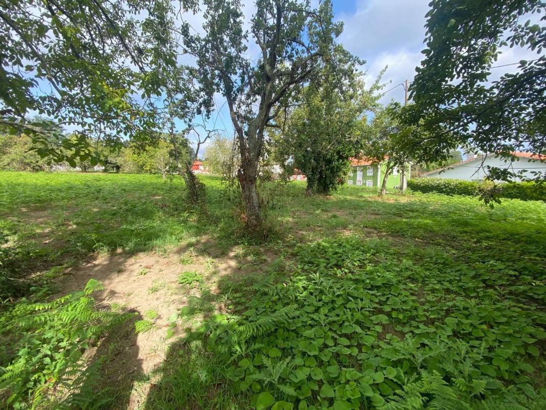 Terreno en venta en Sada, A Coruña photo 1