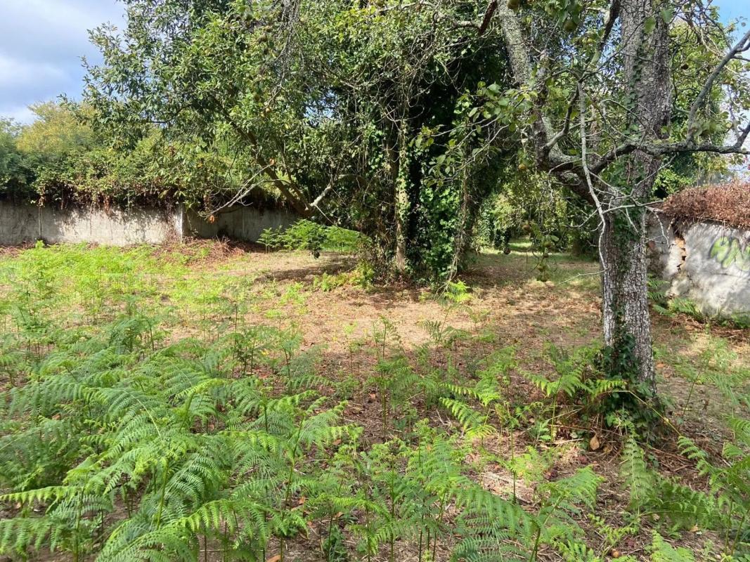 Terreno en venta en Sada, A Coruña photo 5