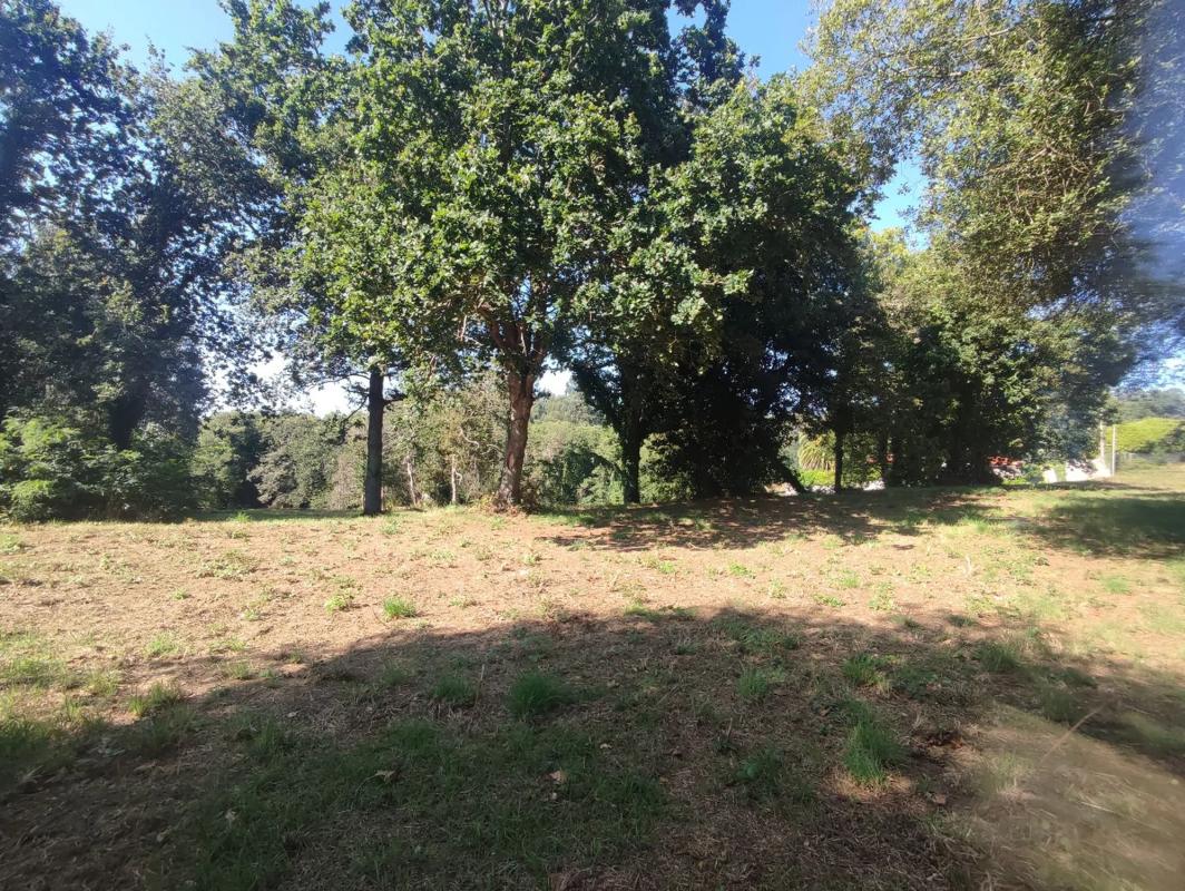 Land for sale in Oleiros, A Coruña photo 4