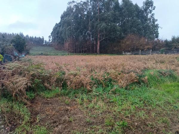 Terreno en Espirito Santo photo