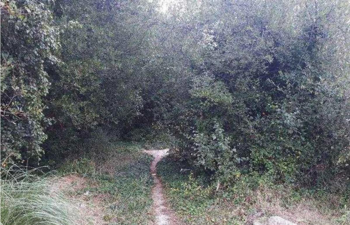 Terreno en venta en Culleredo, A Coruña photo 5