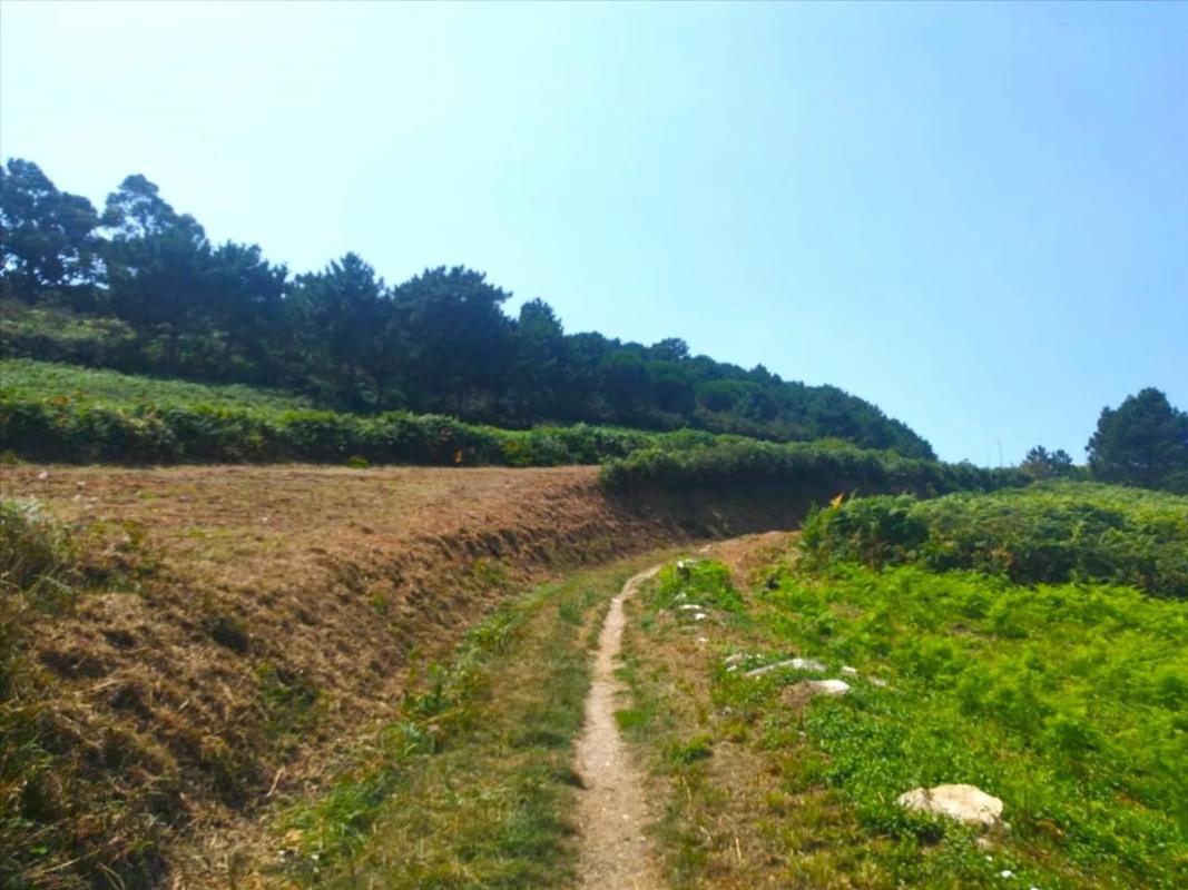 Terreno en venta en A Coruña, A Coruña photo 4